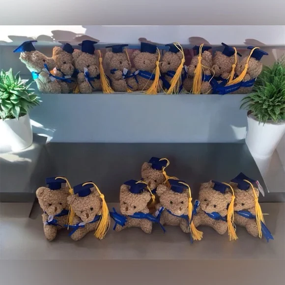 16 Pcs 4 Inches Blue Congratulations Mini Plush Graduation Bear with Diploma - Picture 1 of 7